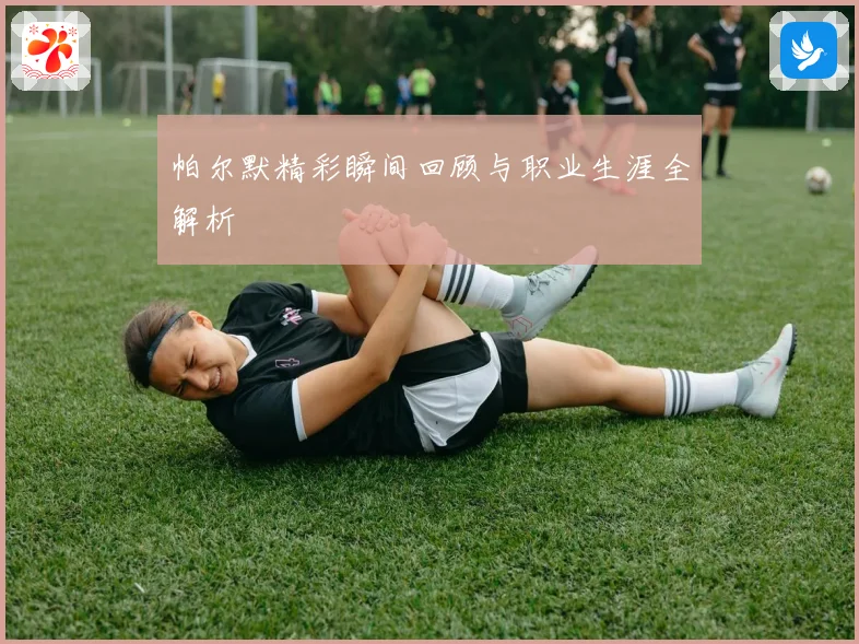 帕尔默精彩瞬间回顾与职业生涯全解析