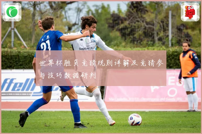世界杯胜负竞猜规则详解及竞猜参与技巧数据研判